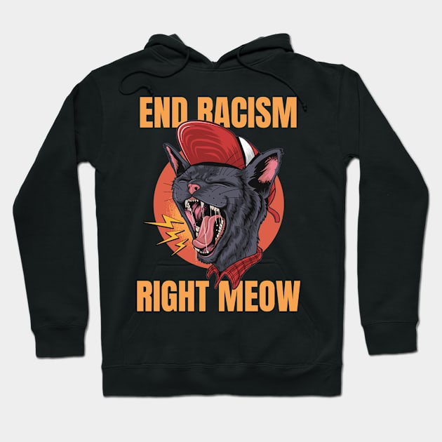 End Racism - Anti-Racist Cat Hoodie by sqwear